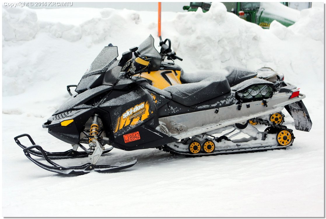 Cold-IMG_2452.JPG