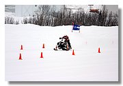 Accel-IMG_2853.JPG