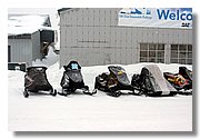Cold-IMG_2444.JPG