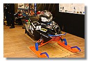 08-Buffalo-IMG_2274.JPG