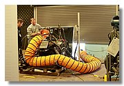 Wed-IMG_3472.jpg