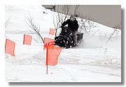 Hand_IMG_5266.JPG