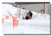 Hand_IMG_5376.JPG