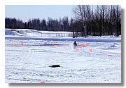 IMG_3870.JPG