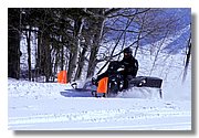 IMG_3881.JPG