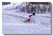 IMG_3889.JPG