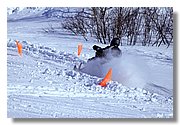 IMG_3922.JPG