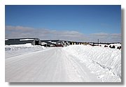 IMG_3973.JPG