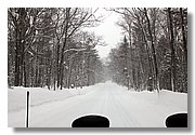 IMG_3230.JPG