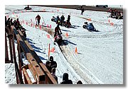 Handle_img_2083.JPG