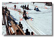 Handle_img_2084.JPG