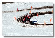 Handle_img_2119.JPG