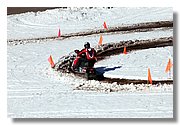 Handle_img_2120.JPG