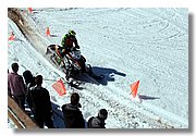 Handle_img_2153.JPG