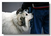 Endur_IMG_8958.JPG