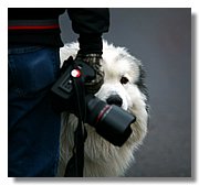Endur_IMG_8972.JPG