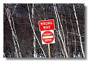 Fri_IMG_3320.JPG
