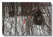 Sat_IMG_1769.JPG