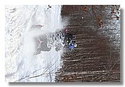 Neber_IMG_1882.JPG