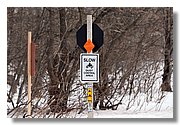 IMG_2200.JPG