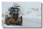 IMG_1137.JPG
