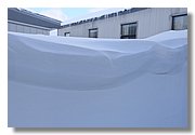 IMG_5596.JPG