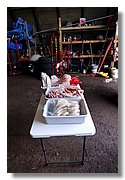 IMG_9811.JPG