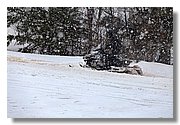 Handle_IMG_9516.JPG