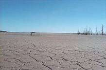 Dried Mud